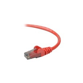 Belkin A3L980-01-RED-S Patch Cable - RJ-45 (M) - RJ-45 (M) - 1 Ft - UTP - ( Cat 6 )